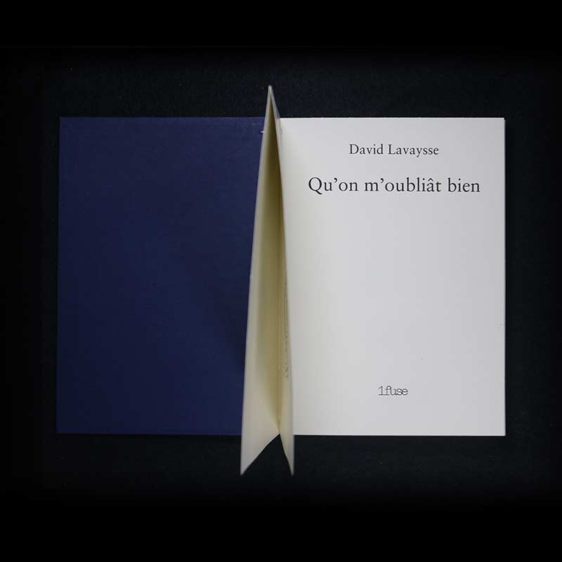 « Qu'on m'oubliât bien » — David Lavaysse
